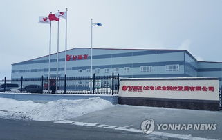 好麗友在華建成土豆產品原料工廠，技術進出口布局深化